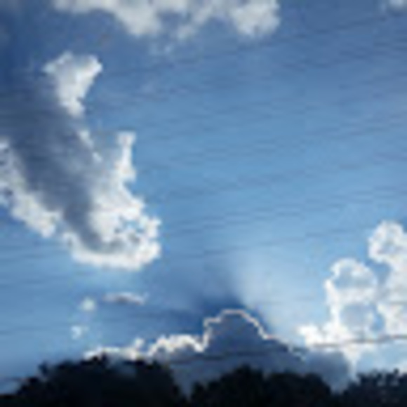 Meet your Posher, Benjamin - Picture 1 of 1